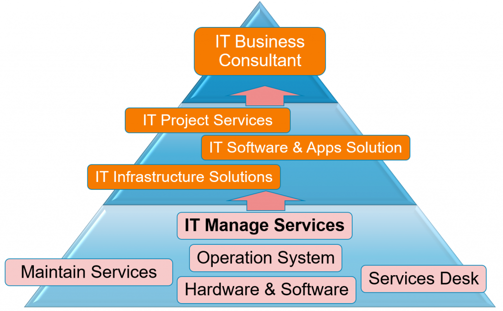 CCVI's Products & Services Pyramid
